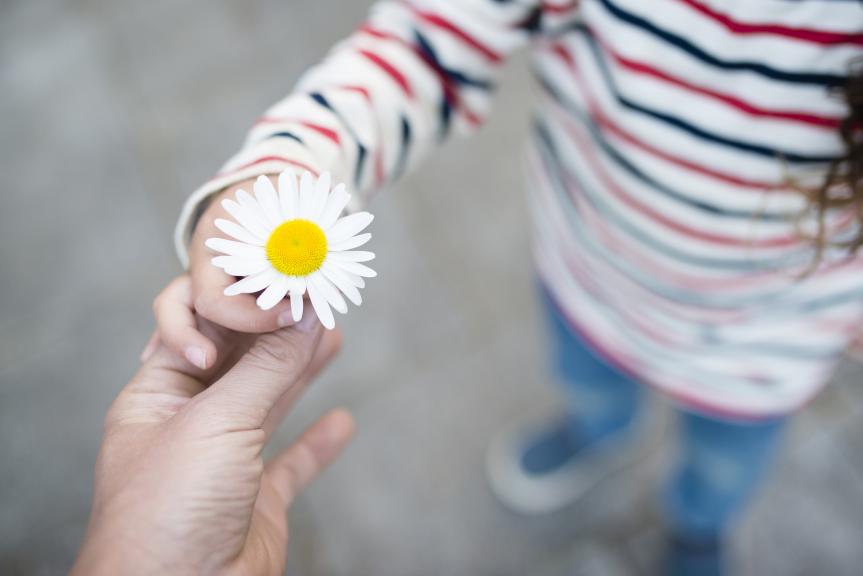 Un enfant offre une fleur à un adulte